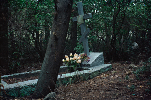 "plane - train - woman - sanatorium - cemetery" (Russland - Ukraine, 2013)